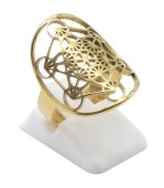 Vergulde roestvrijstalen ring Metatron