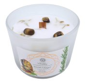 Kaars Green Tree 'Vitaliteit' Tijgeroog + Zoete Gember 256g