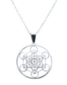 Ketting RVS Metatron 2.5cm