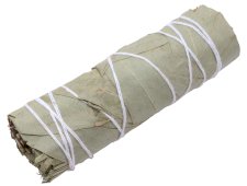 Eucalyptus Bundel 30g 10cm