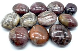 Versteend Hout 'A' Getrommelde stenen 1KG