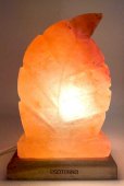 Zoutlamp Himalaya Blad 3.5KG