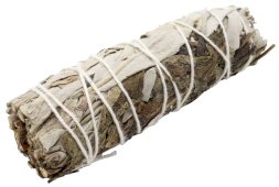 Witte Salie & Munt bundel 25g 10cm
