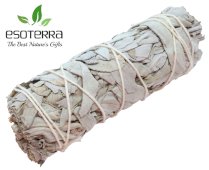Witte Salie Apiana Californië Bundel 11cm 25-35g