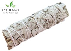 Witte Salie Californië Bundel 15cm 60-80g