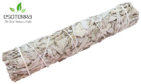 Witte Salie Californië Bundel 21cm 80-120g