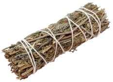 Salie Shasta Bundel 25g 11cm