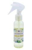 Spray Agua Florida geur Florida Water 100mL